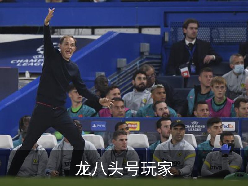 龙八(头号玩家)唯一官方网站